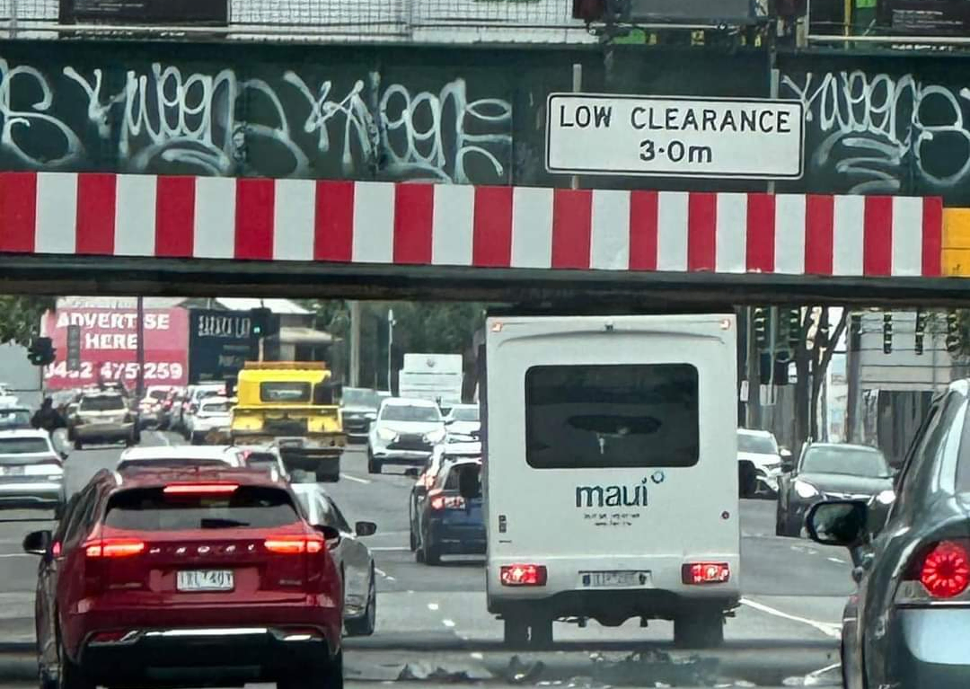 Maui's Misfortune: Montague's Magnificent Mishap with the White Whopper